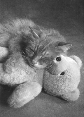 Zajímavé foto8