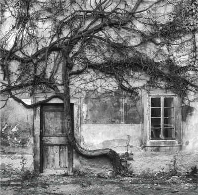 černobílé21