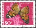 Motýl (8)