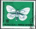 Mongolsko motýl (1)