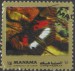 Manama motýl (4)