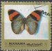 Manama motýl (8)