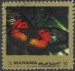 Manama motýl (11)