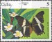 Cuba motýl (9)