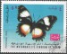 Jemen motýl (2)
