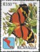 Nicaragua motýl (2)
