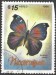 Nicaragua motýl (3)
