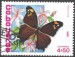 Cabo Verde motýl (1)