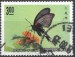 Čína motýl (1)